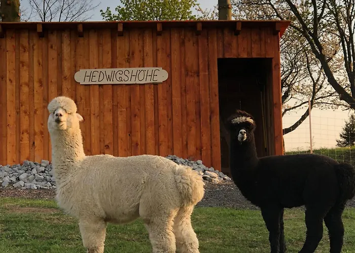 Urlaub Auf Dem Bauernhof Hedwigshoehe